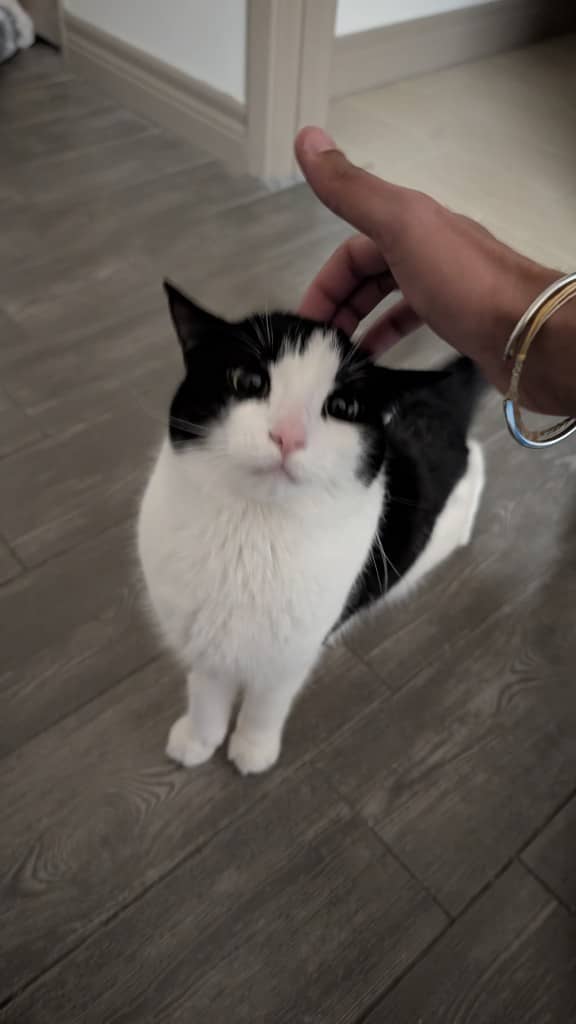 Luna