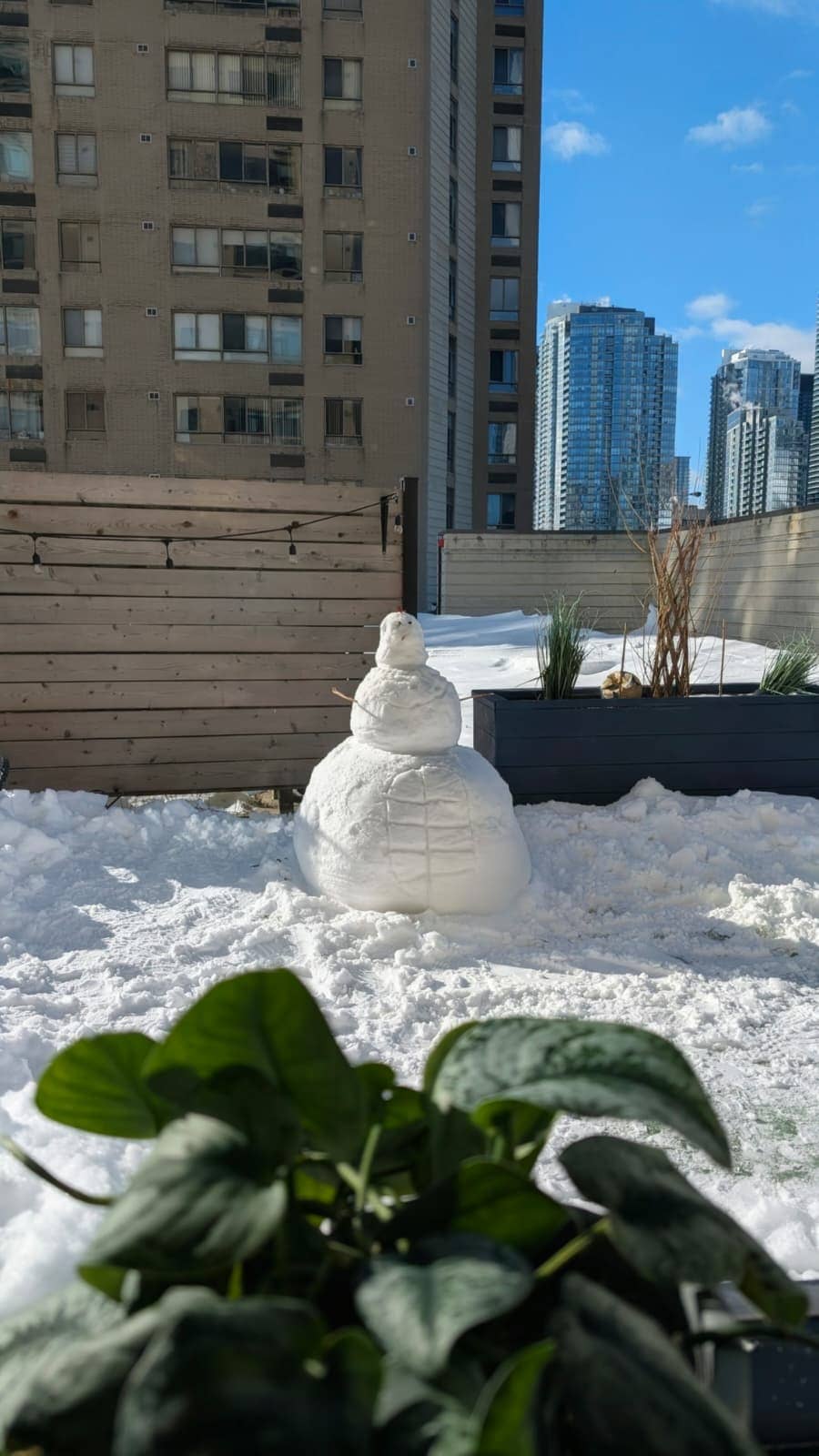 Snowman