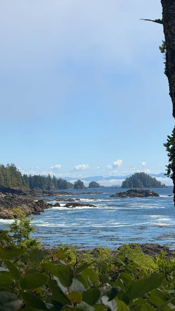 Tofino coast