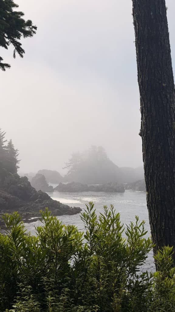 Tofino fog