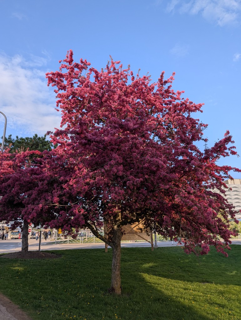 Spring